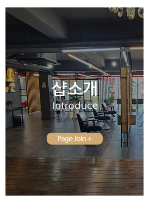 솔모증모가발&발몽헤어_메인중간_샵소개
